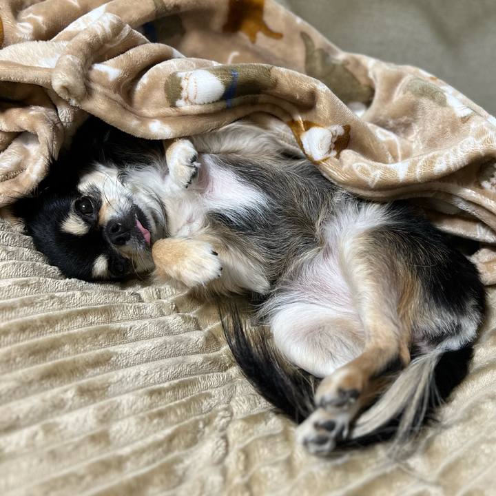 Ae5e4fef df62 42e1 aae2 3b323162217b 1665039076190