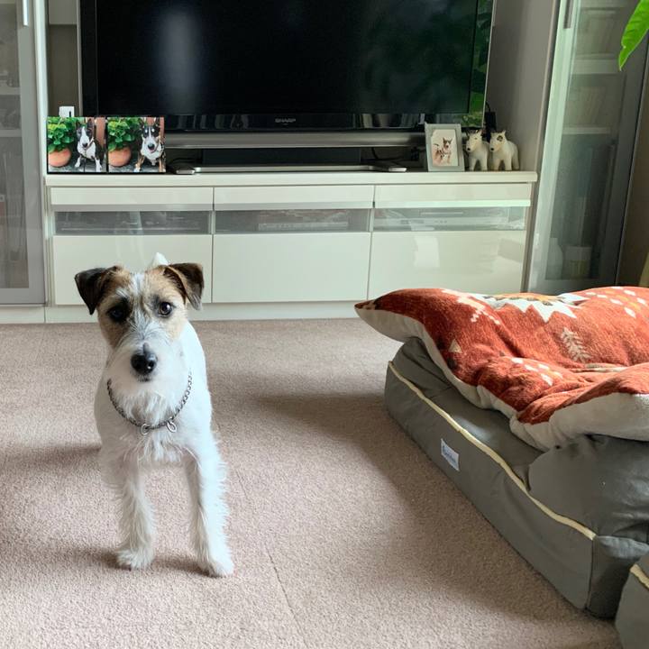 Ae5e9e2a 8fe6 4db5 844d 2ace74786afb 1577322542393