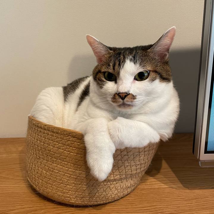 Ae5eb231 88f6 457b 988d aa6c8efbe11c 1758497323689