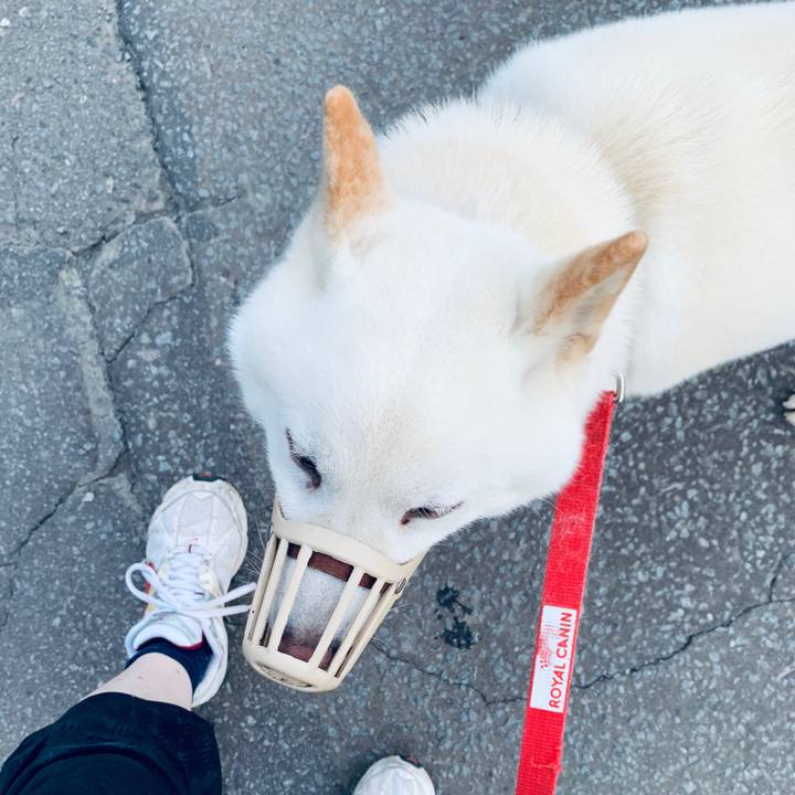 Ae5ed661 52c2 4c3a bfbf 16ebde8ab9a8 1595105808024