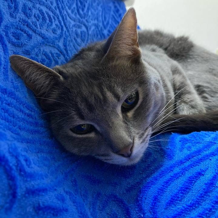 Ae5ee4f9 6d38 4a9e 99cf e65149f87c95 1616256511092