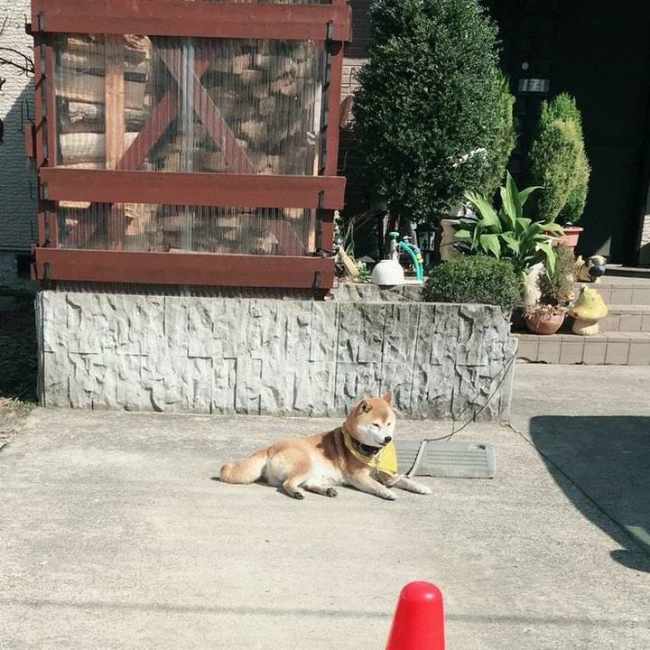 Ae5f16fd 0a53 4028 8021 96ba7ea21d95 1522219047302