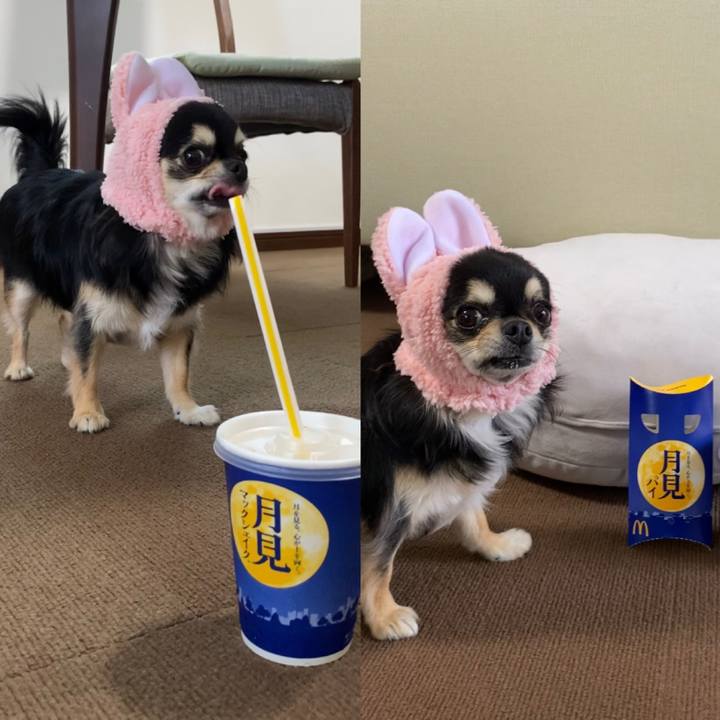 Ae5f463a 873b 4b11 8892 012376bef7b7 1632142320341