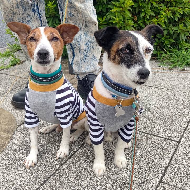 Ae5f7bc2 58cb 477a bd21 3beb855a370e 1719267216141