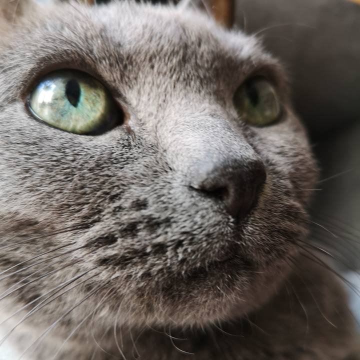 Ae5f82ac e1bd 4888 bec4 6596b15d6d44 1582506372381