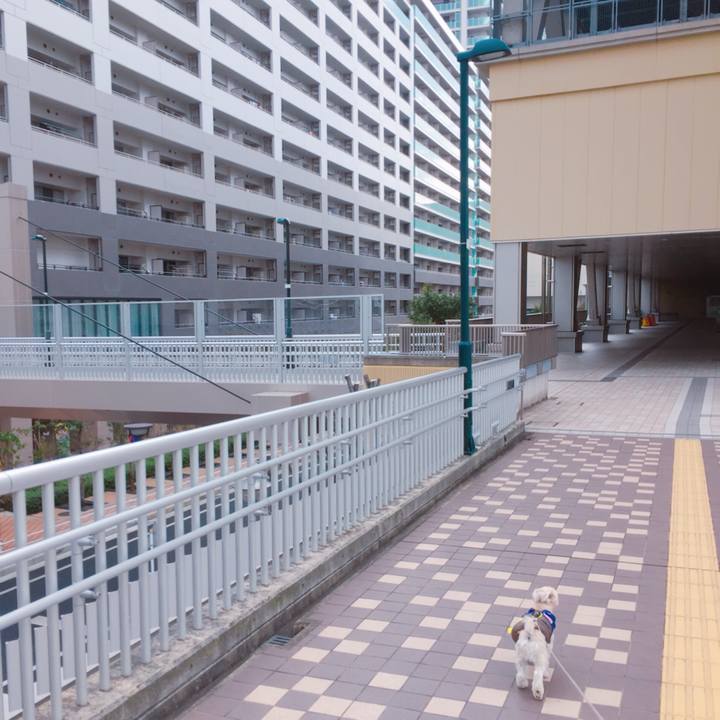 Ae5fcc49 7087 419c b412 4f60b051235e 1516359200611