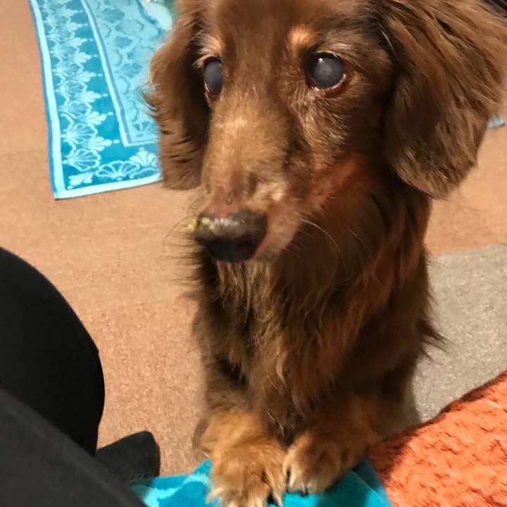 Ae5fcdc6 7955 4780 99b3 80ce075f4de8 1526563597677