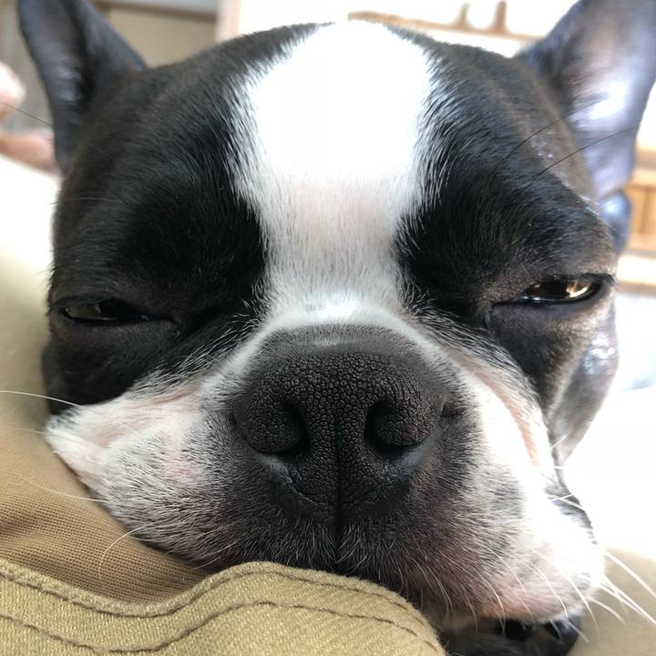 Ae5ffbe4 4e0b 406f 94a1 88383ff168dc 1524352247549