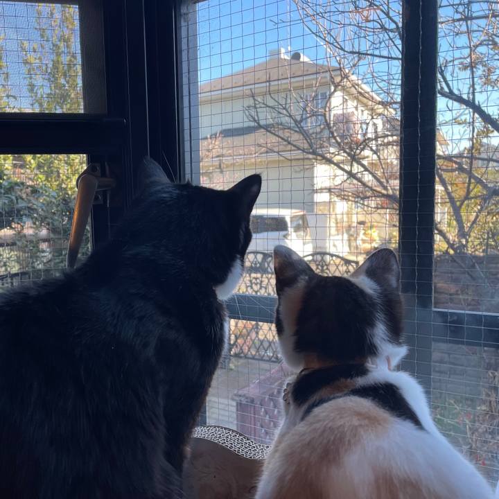 Ae6011a2 d381 447b 9762 36b028b0e258 1674996587895