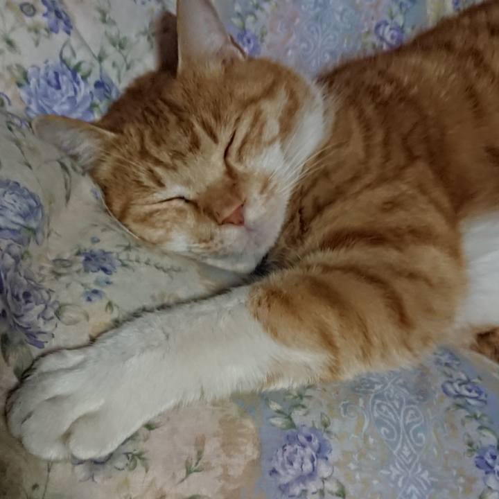 Ae6011ca 9aa9 4d9f a688 6549e0925118 1578660049958