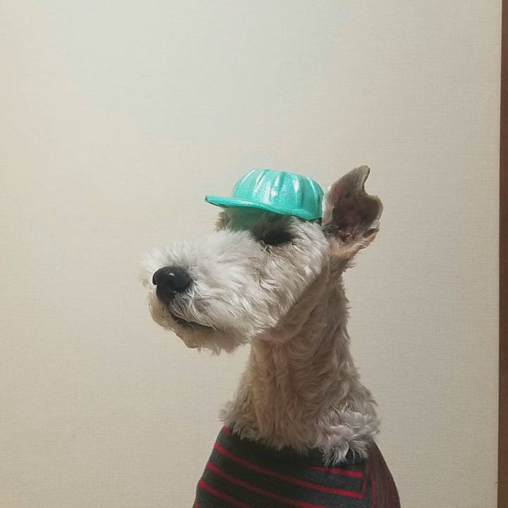 Ae603bb0 ff09 4aec 90bd a5ece755158e 1576919111008