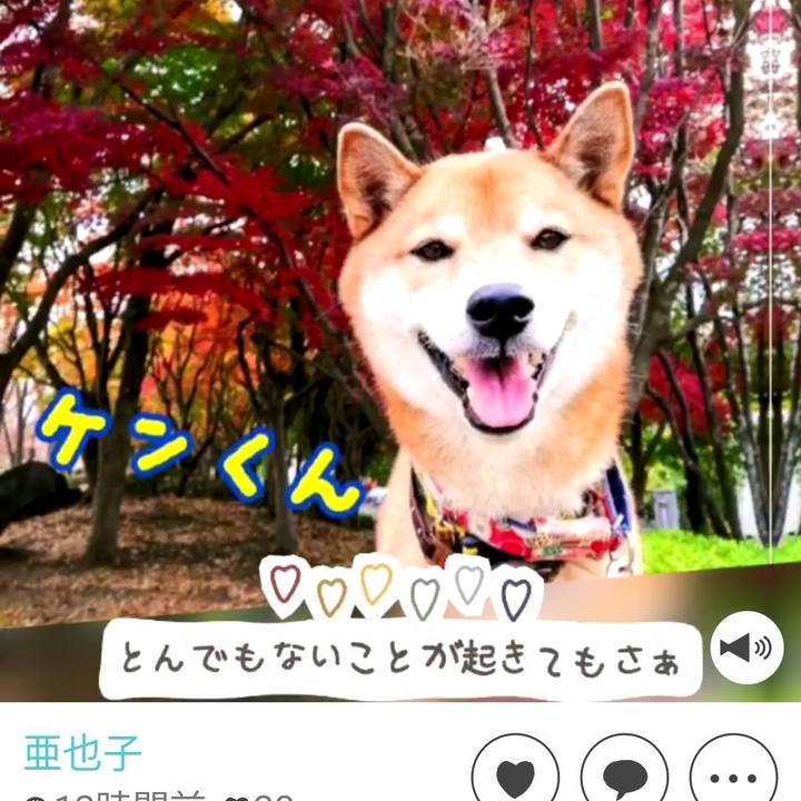 Ae6108ca 4424 42d8 b6c6 7847e78ac5dc 1609158257102