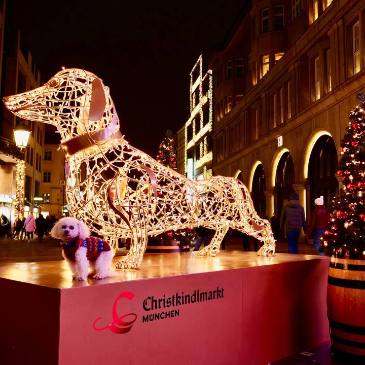 Ae6118a7 7d14 4362 8193 c67f8d64d888 1765923890226