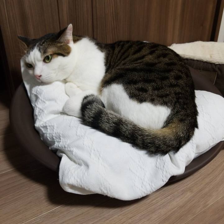 Ae612c07 cf28 42fb 86a5 a234be0da1b4 1572383413051