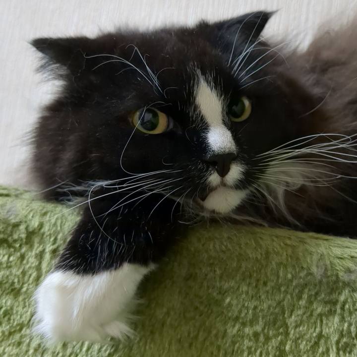 Ae61490d e824 43c5 8444 d4a6d8bb5b2e 1668565138756