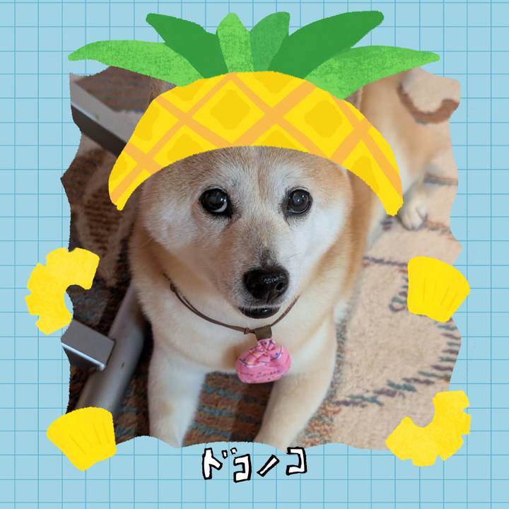 Ae61d13f c8b7 4911 8f30 b3c5f556220c 1783400917293