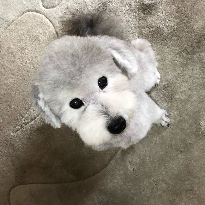 Ae61e69a e88f 4eb5 9f8b aabc4e7b5c6f 1570532531881