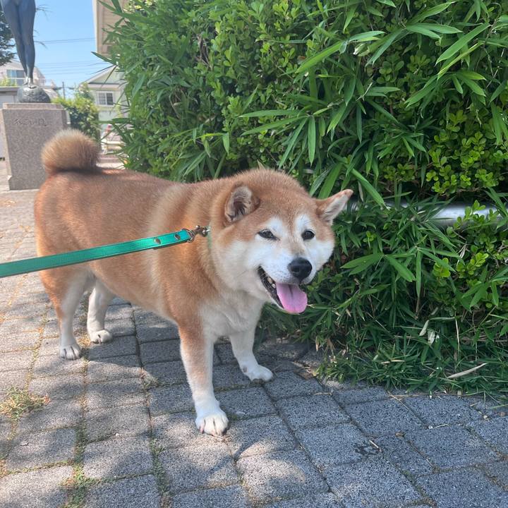 Ae61eea7 7ba5 45b7 9cc5 3f0580a828c5 1690336655902