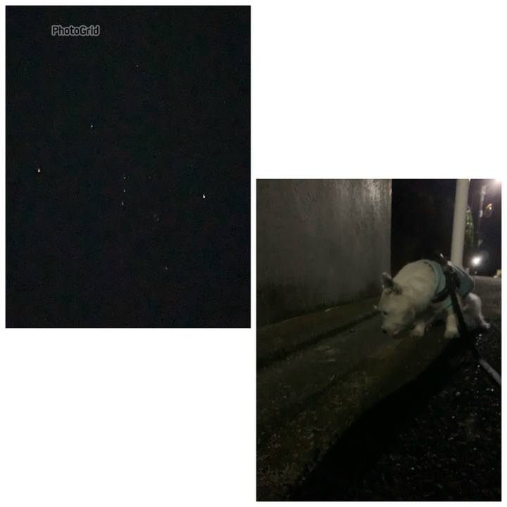 Ae61f016 1e40 4170 a486 8ccd211e1489 1732972090350