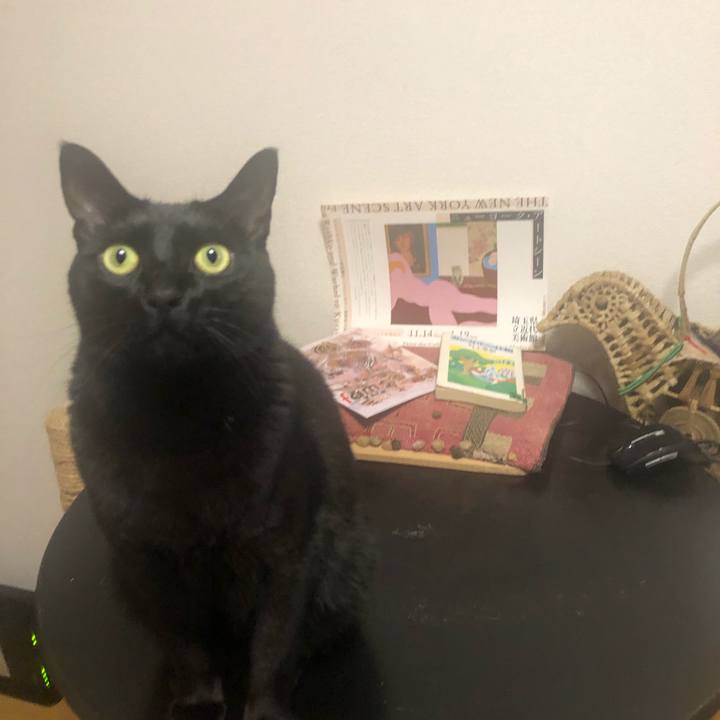 Ae6274ae 0924 473a 86bf 100a39202fa8 1579622045562