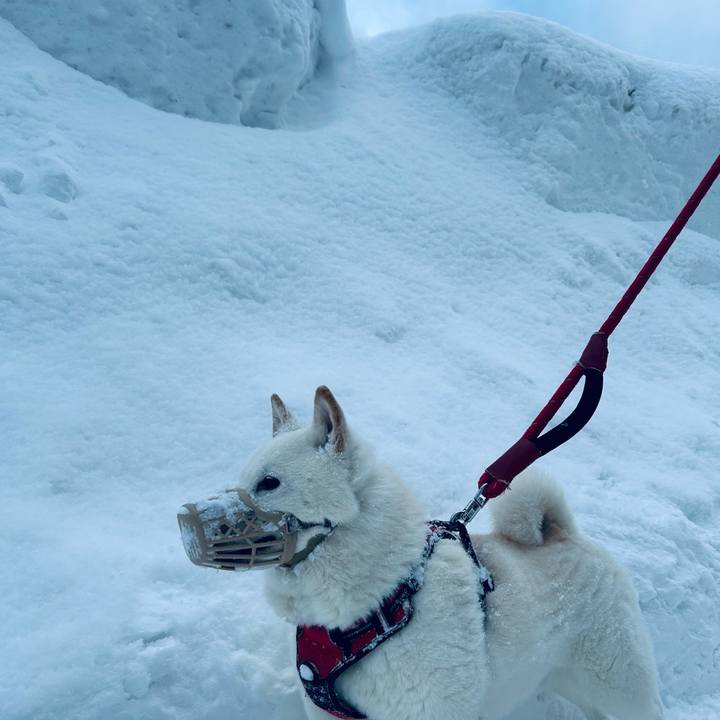 Ae62b1ed b28e 4f06 93ff 0bec3216c275 1707001125124