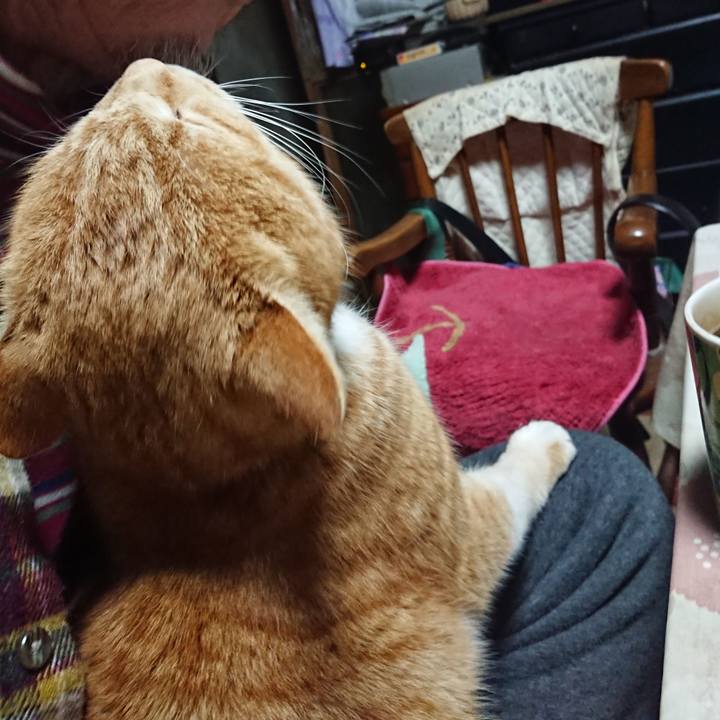 Ae62f8e1 7338 4033 a956 46fac482a0c3 1580501565730