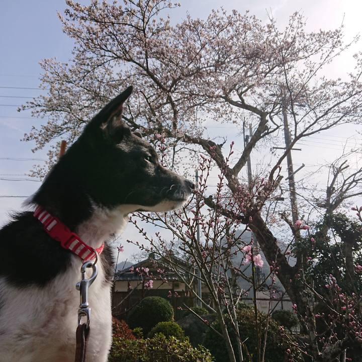 Ae6360dd a111 43e1 bc24 c151c98e9e55 1616809679575