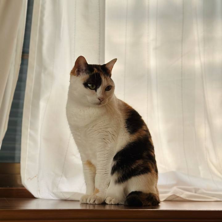 Ae636c8a dc18 4b5f a453 5d18c5ba05f2 1673144575504