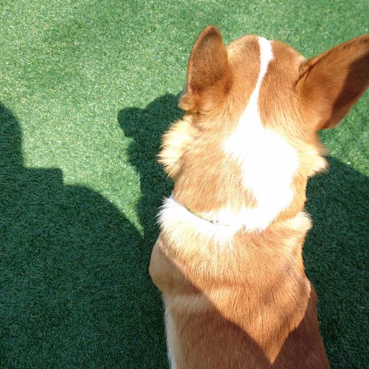 Ae6370e0 c7e1 4299 a3f7 b0eb1f28fc00 1584086730848