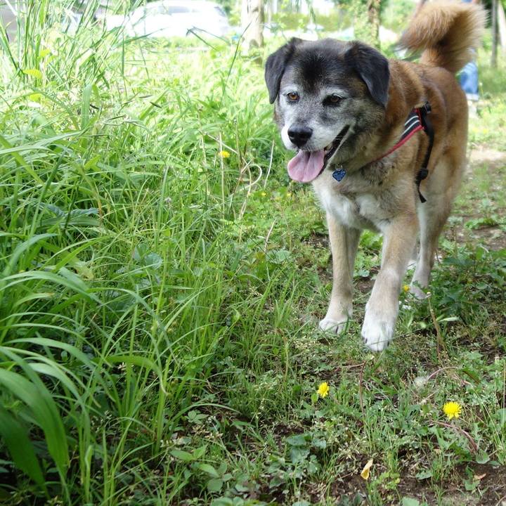 Ae6382cb 6e6d 4bd9 9cac 8755f46fd4f9 1525571280725