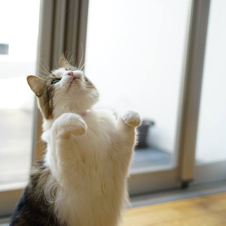 Ae639ee8 4b59 4436 98ae 4eec6bf1cf58 1572054957185