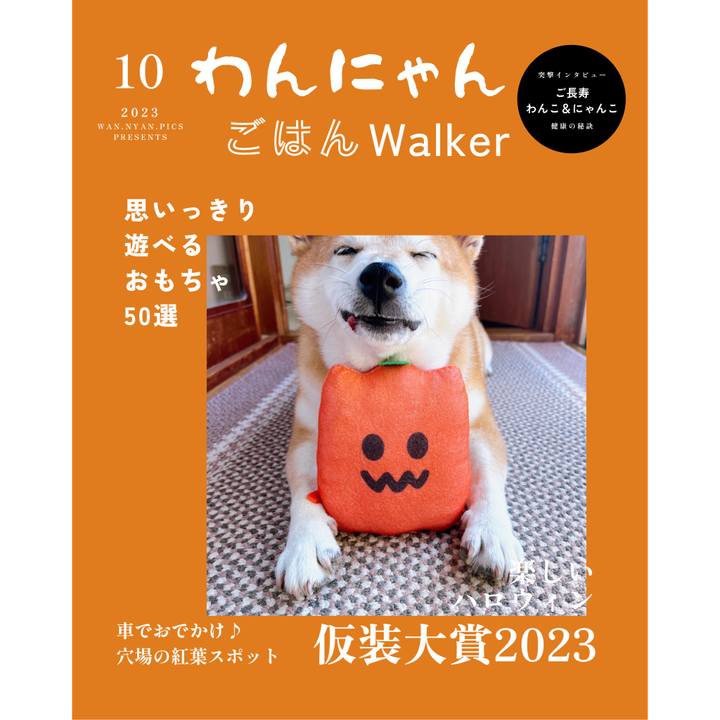 Ae63b117 fb2f 4ef2 b135 d8e70896fde0 1697755330921