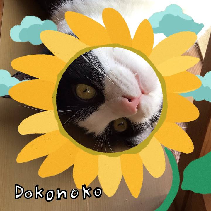 Ae63d2aa 0e03 4ffb b59f c0d87023038e 1723268216794