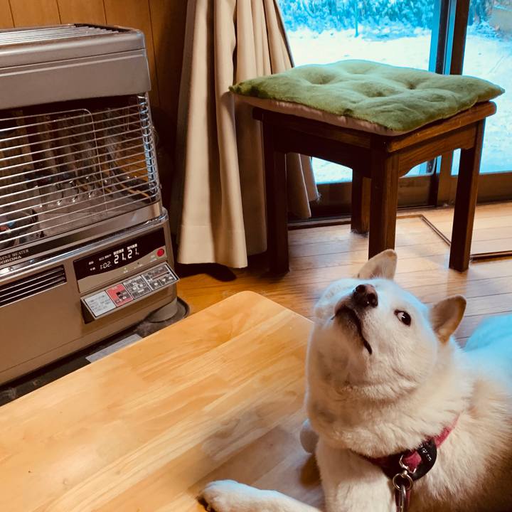 Ae63d3c7 b4fc 4ef3 b6fc 547205680490 1574820648745