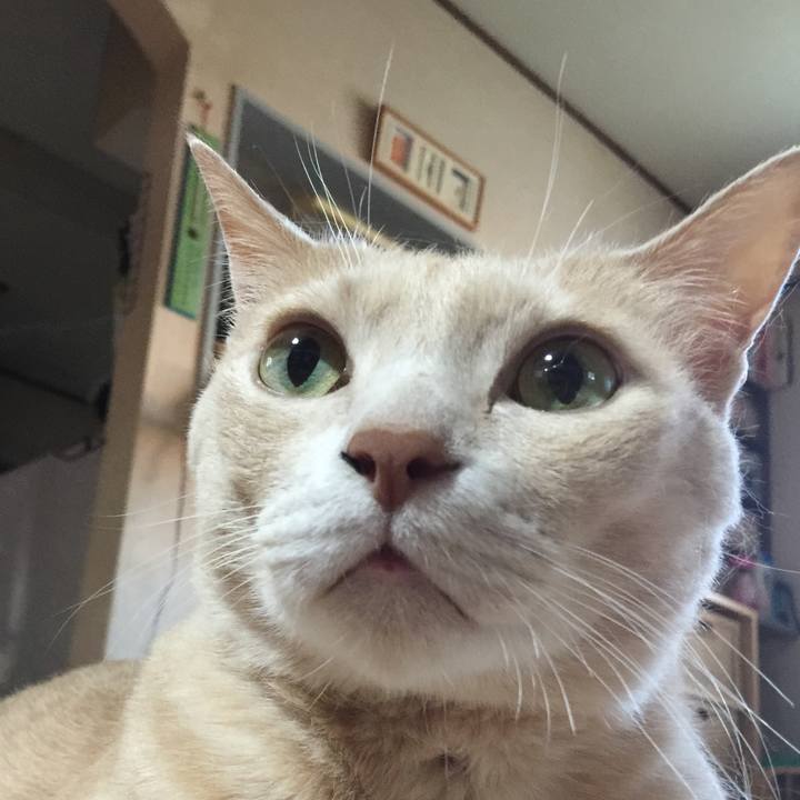 Ae63e826 43bb 409b a445 2624054c9d64 1564822287204