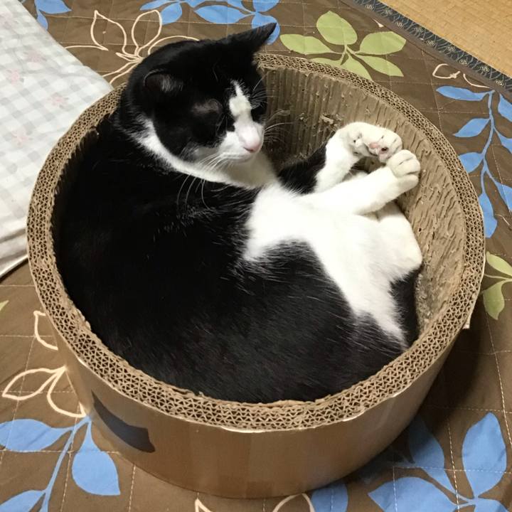 Ae63fe4e e0de 4774 8f40 99d0c2436398 1732445187293