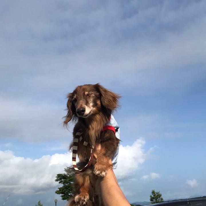 Ae642db9 2cc9 4180 925e 1f73c66cc0a3 1598568552274