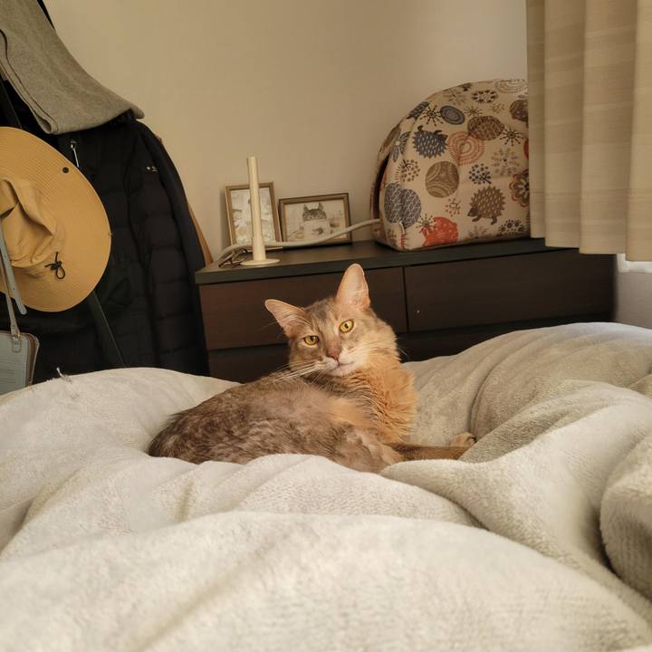 Ae648a9e db26 4b3c ab6e 8e0f12c94c1a 1674364714046