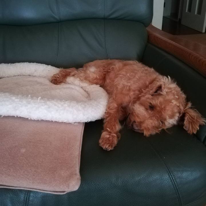 Ae648e78 7229 4dec b50f ae9a2a559327 1530225039483