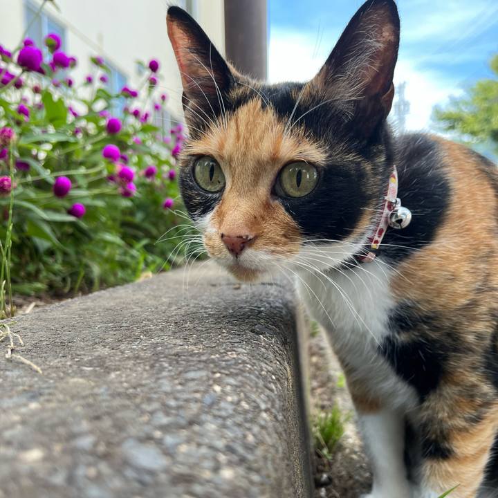 Ae64a54a b480 42b2 8dc2 bbf0c4e0fb03 1691017065184