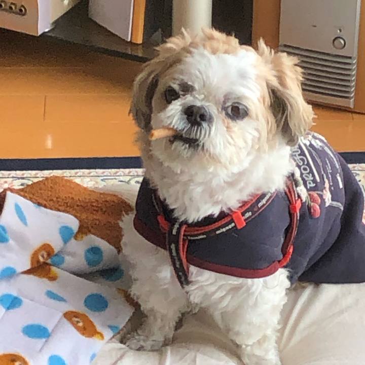 Ae64b964 7276 4ca0 8346 ef877bd9d208 1586814678749