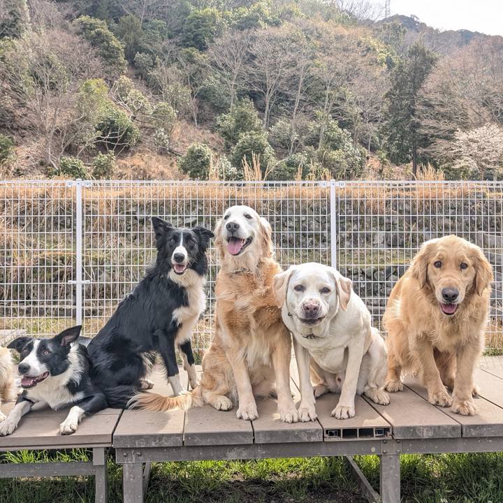 Ae64cc03 df46 4719 9456 97c2c5c08dd0 1762995514082