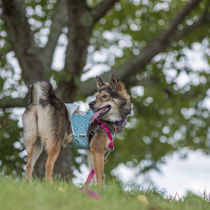 Ae650536 e80e 4d9e b893 83815e3cdb5d 1534460510114