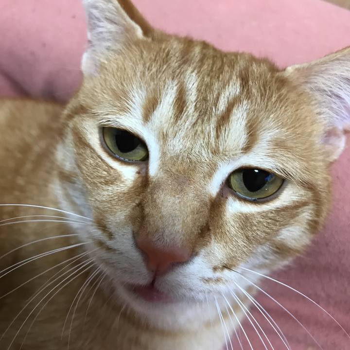 Ae655ecc bce0 42f1 af93 c692b8cd2494 1519741101576