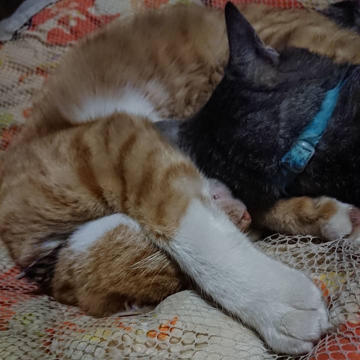 Ae658bf0 8e09 4c47 85fe 6cfac230efc8 1573564387446