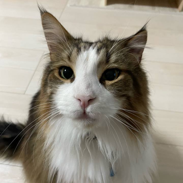 Ae65d5ee ff6c 4133 a742 f63edd730b2c 1717356622621