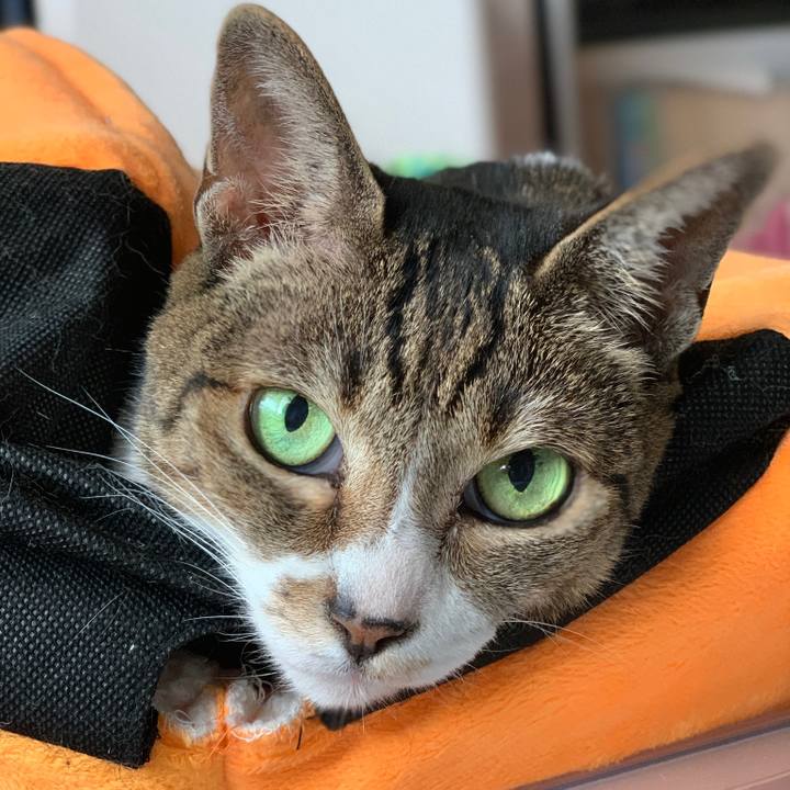 Ae65db04 9a79 42ae a8aa 6487d330b20a 1569203160213