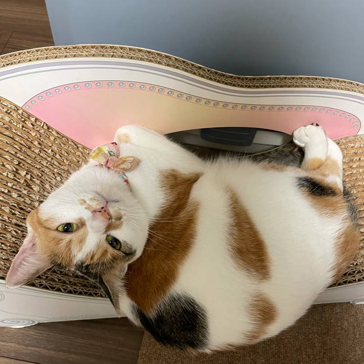 Ae65e44f 02c8 4df1 b7a8 20df53b93b3f 1632749653048