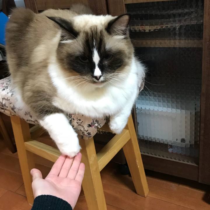 Ae65ea4c fb08 404a a99e a9df5be6c97f 1511365474241