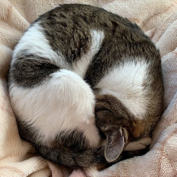 Ae663d90 fd73 4758 ad83 0d1ad93dd38d 1580608228473